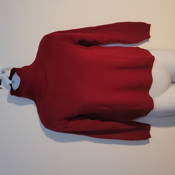 None Sweaters - MOVING SALE! Red Turtleneck Sweater